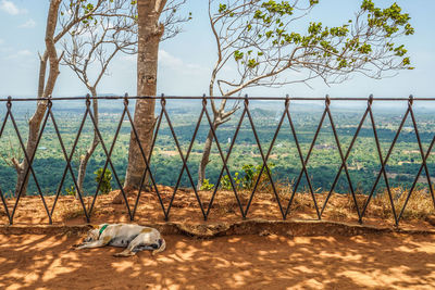 View of a fence on field