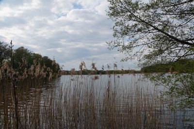 Scenic view of lake against sky