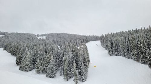 Snow covered land and trees against sky