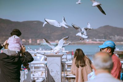 Rear view of seagulls flying over sea