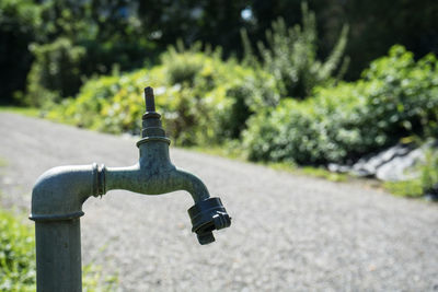 Close-up of faucet against trees