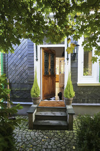 Potted plants outside house