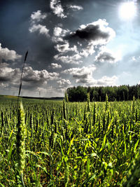 Scenic view of field against cloudy sky