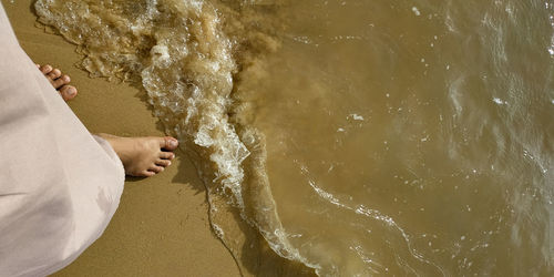 Low section of man on beach