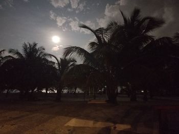 Low angle view of palm trees against sky