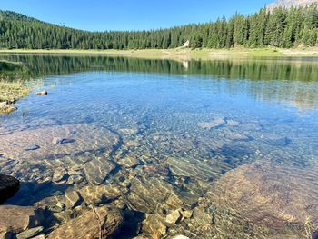 Scenic view of lake and trees