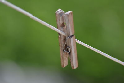 Close-up of clothespins on rope
