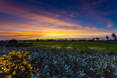 Scenic view of field against sky during sunset