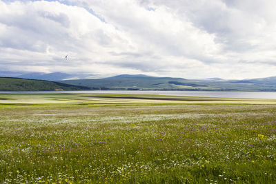 Landscape of valley in georgia, daytime and outdoor