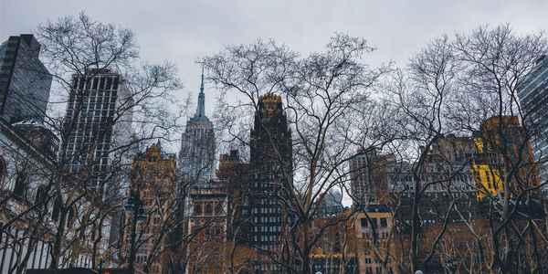 Low angle view of bare trees and buildings against sky