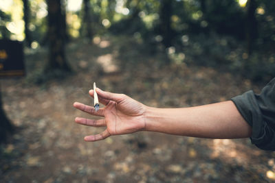 Midsection of person holding cigarette in forest