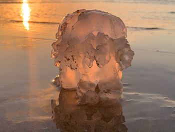 Close-up of statue against sea during sunset