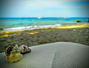 Close-up of beach against sky
