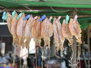 Close-up of clothes drying for sale at market