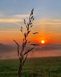 Scenic view of sunset over field