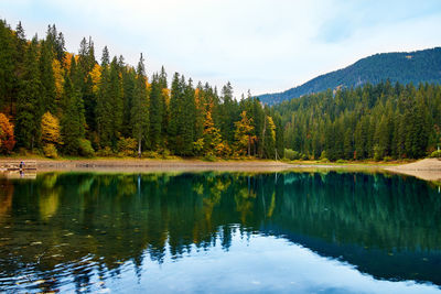 Reflection of trees in calm lake against mountain range