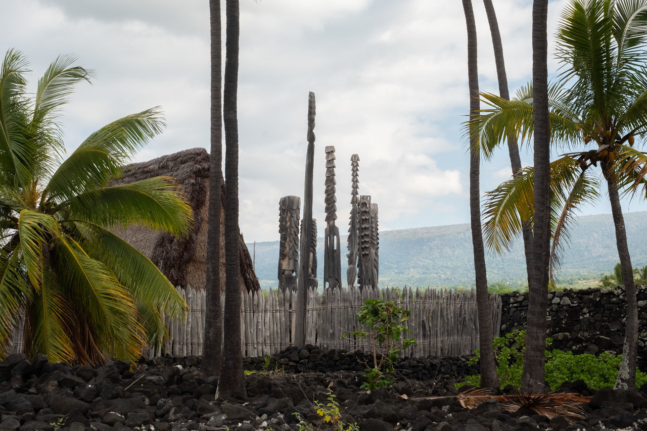 PANORAMIC VIEW OF PALM TREES BY SEA AGAINST SKY