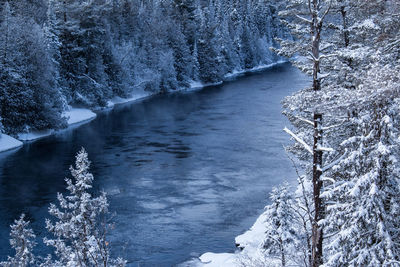 Scenic view of frozen river in forest during winter