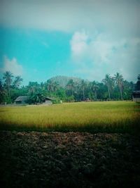 Scenic view of field against sky