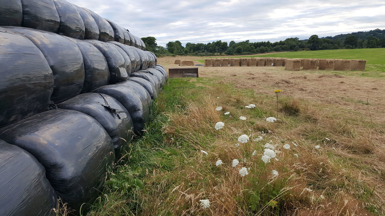 Silage making