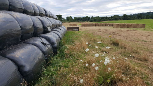 Stack of bales covered in black plastic on field