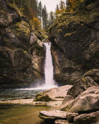 Scenic view of waterfall in forest