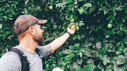 Man holding fruits on tree