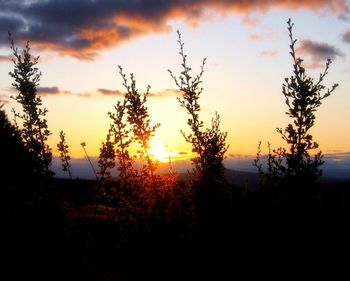 Scenic view of landscape against sky at sunset