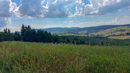 Scenic view of field against sky