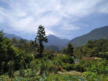 Scenic view of trees and mountains against sky