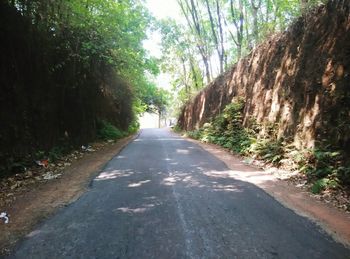 Empty road along trees