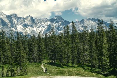 Rear view of man riding a mountain bike on wooden footpath in the alps.