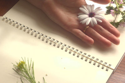High angle view of hand holding white flower on table
