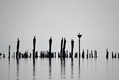 Silhouette wooden posts in sea against clear sky