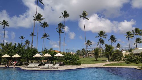 Palm trees against cloudy sky