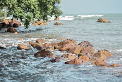 Rocks on sea shore against sky