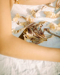 High angle view of dried flowers by hand 