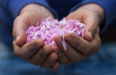 Close-up of hand holding ice cream