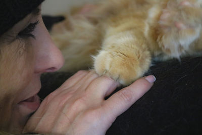 pet