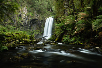 Waterfall in forest