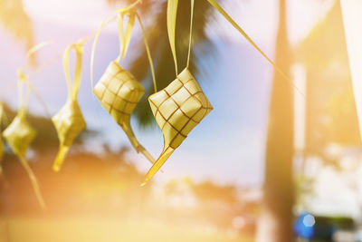Low angle view of yellow leaf hanging against sky