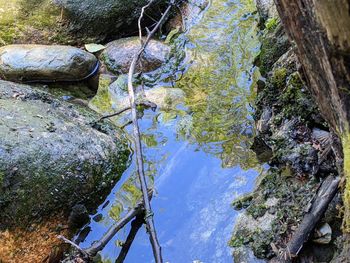 nature