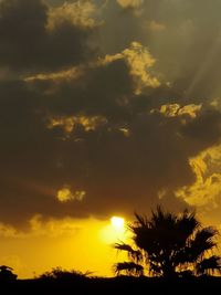 Low angle view of silhouette tree against sky during sunset