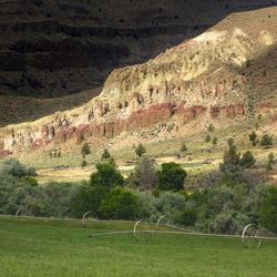 Scenic view of land against mountain