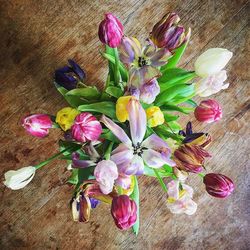 Close-up of crocus flowers on table