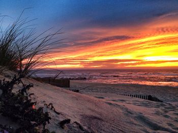 Scenic view of sea at sunset