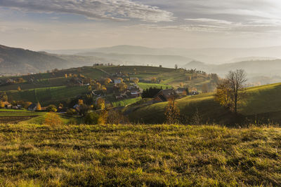 Scenic view of field against sky