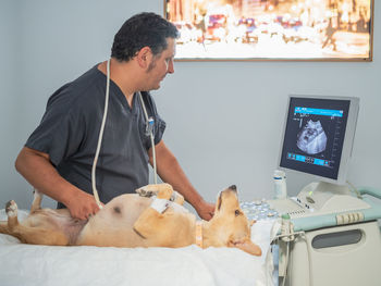 Side view of adult man in scrubs using professional modern equipment to do abdominal ultrasound examination on dog in veterinary clinic