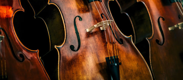 Close-up of cello