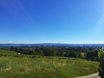 Scenic view of field against clear blue sky